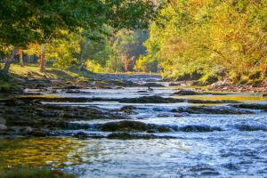 a river with rocks and trees on the side at RiverStone Condo Resort & Spa in Pigeon Forge