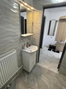 a bathroom with a white sink and a shower at Casa Pietrele Doamnei in Câmpulung Moldovenesc +13 photos