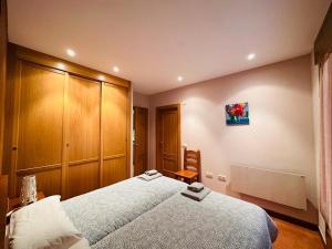 1 dormitorio con 1 cama grande en una habitación en Apartamento Carlos Bielsa, en Bielsa