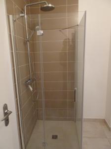 prysznic ze szklanymi drzwiami w łazience w obiekcie Appartement calme en plein centre ville w mieście Granville