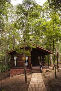 a small cabin in the middle of a forest at Cotan Ecolodge in La Esperanza
