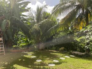 einen Garten mit einem Rasensprenger in der Unterkunft Bel appartement dans écrin de verdure in Le Lamentin