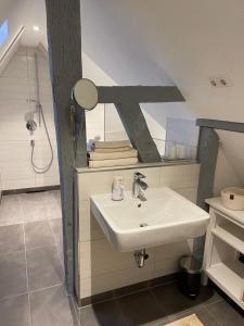y baño con lavabo blanco y espejo. en Das Haus am Limburger Dom, en Limburg an der Lahn