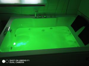baño con bañera verde y suelo verde en Le piante di casa SaMar, en Castelguelfo