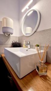 a bathroom with a white sink and a mirror at Colț Viu Deluxe in Şimon
