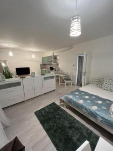 a bedroom with a bed and a kitchen and a living room at FREE PARKING in garage! New apartment in Karolina Plazza in Prague