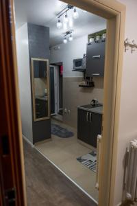 Kuchyň nebo kuchyňský kout v ubytování APARTMAN POZORISTE Penthaus