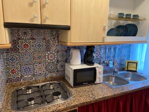 encimera de cocina con fogones y microondas en Casa Hay que Vivir el Momento, en Setenil