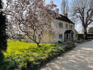 a house with a flowering tree in front of a yard at Hill Farm in Oxford