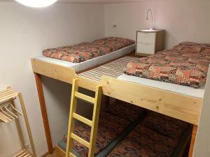 a bedroom with two bunk beds and a ladder at U potoka Cedronu in Jilemnice