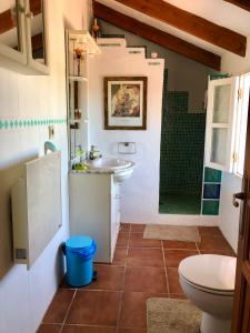 ein Bad mit einem WC, einem Waschbecken und einer Dusche in der Unterkunft Casa Ganesha in Comares