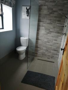 a bathroom with a toilet and a glass shower at Loughcrew View Bed and Breakfast in Kells