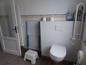 a bathroom with a white toilet and a shower at Ferienwohnung-Havelsee in Hohenferchesar +5 photos