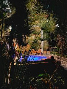 Bazén v ubytování Gulupa Ecolodge nebo v jeho okolí