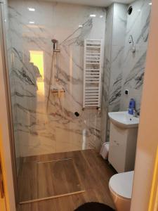 W łazience znajduje się prysznic, toaleta i umywalka. w obiekcie Maly domek w Szczecinku