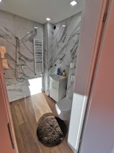 ein Badezimmer mit einer Dusche, einem WC und einem Teppich in der Unterkunft Maly domek in Szczecinek
