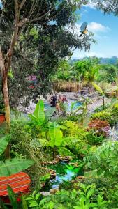 un grupo de personas en un jardín con un arroyo en Hosteria El Edén de Maria Isabel, en Santa Rosa