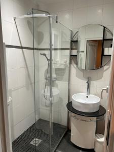 a bathroom with a glass shower and a sink at Spacieux T2 avec parking à 200 m Cathédrale in Chartres +11 photos