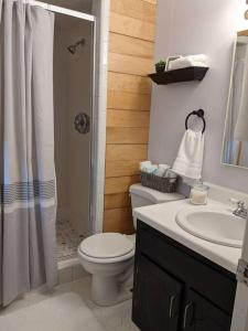 a bathroom with a toilet and a shower and a sink at Wilmington Family Vacation Home in Wilmington