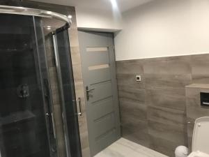 uma casa de banho com uma cabina de duche e um WC. em Apartament, noclegi na doby - Raczki k. Suwałk em Raczki