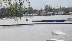 a dog standing in the middle of a body of water at Wake domek Green House Januszkowice in Januszkowice