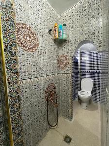 a bathroom with a shower and a toilet at Coco Chawen in Chefchaouen