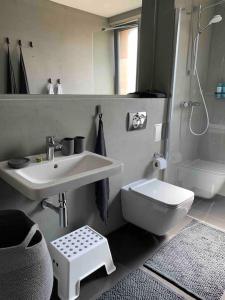 La salle de bains est pourvue d'un lavabo, de toilettes et d'une douche. dans l'établissement BOTKa apartmán, à Tatranska Strba