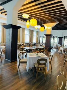 Restaurace v ubytování Hanul cu Sălcii