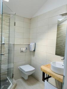 Ванна кімната в Hanul cu Sălcii