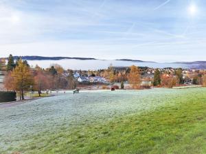 a large grass field with a city in the background at Apartement Nathalie - Wellness mit Pool und Sauna in Schluchsee
