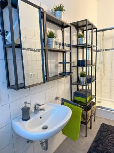 ein Badezimmer mit einem Waschbecken und Regalen mit Topfpflanzen in der Unterkunft bee Design Apartment + Zentral + Küche + Parken in Wetzlar