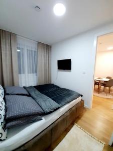 Un dormitorio con una cama y un televisor de pantalla plana. en Apartman Winter night Snježna dolina, en Jahorina