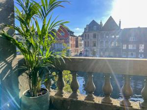 a couple of plants sitting on a railing near the water at Appartement spacieux & calme avec vue sur l'Escaut in Tournai