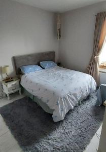 a bedroom with a bed with blue pillows and a rug at Dune Cottage in Caister-on-Sea