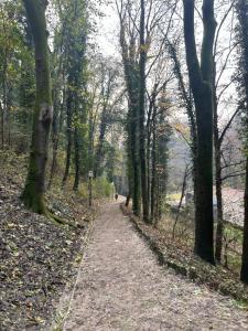 Příroda nedaleko apartmánu