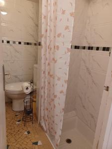 La salle de bains est pourvue de toilettes et d'un rideau de douche avec des papillons. dans l'établissement 3 private rooms shared flat in a villa at Sceaux 600m RER B direct to Notre-Dame, à Sceaux