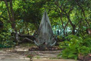 Um jardim em Ciamat Camp