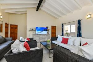 Villa Swiss Paradise with private pool的电视和/或娱乐中心