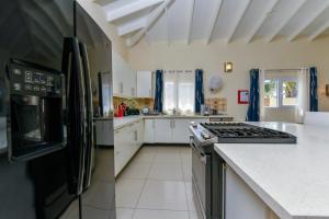 Villa Swiss Paradise with private pool的厨房或小厨房
