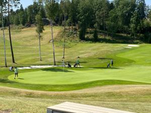 JärnaDR ÅSA Rooms in Kallfors, Järna, south Stockholm, near Golf, Ytterjärna Concerts & the Baltic Sea Beach的一群人在高尔夫球场打高尔夫