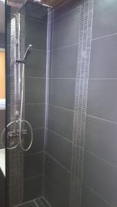 a shower with a glass door in a bathroom at Apartment Regensburg in Regensburg +23 photos