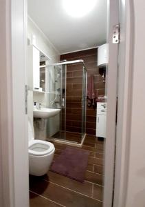 ヤホリナにあるApartman Winter magic Snježna dolinaのトイレ、シャワー、洗面台を備えたバスルーム