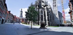 a church with a tree in the middle of a street at Appartement spacieux & calme avec vue sur l'Escaut in Tournai