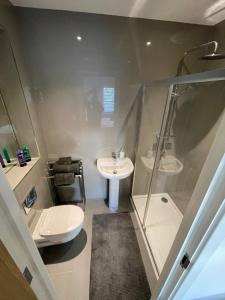 a bathroom with a shower and a toilet and a sink at 2 Bed 2 Bathroom Gated Apartment 1 Inc free Parking in Bromley