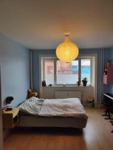 Postel nebo postele na pokoji v ubytování Cozy apartment shared kitchen and bathroom