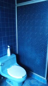 a blue bathroom with a toilet and a blue tiled wall at Habitación Polanco (solo hombres) in Mexico City