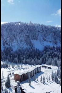 ein Gebäude auf einem schneebedeckten Berg in der Unterkunft Apartman Winter magic Snježna dolina in Jahorina
