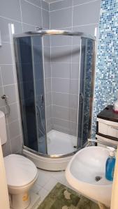 uma casa de banho com um chuveiro, um WC e um lavatório. em Apartment Kiki em Novi Sad