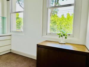 a room with two windows and a table with a plant on it at Clarendon Hotel in Melbourne