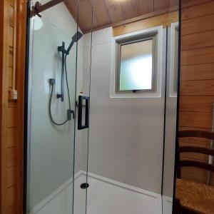 y baño con ducha de cristal y ventana. en Tongariro Estate en National Park